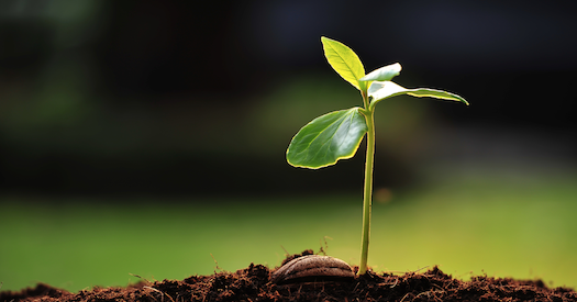 Never Miss an Opportunity to Plant Seeds for Future Sales Success